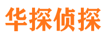 巨鹿调查公司